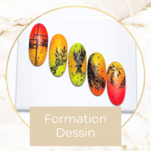 4 Formation Dessin + Kit INCLUS